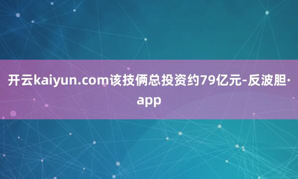 开云kaiyun.com该技俩总投资约79亿元-反波胆·ap