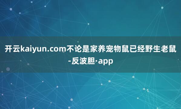 开云kaiyun.com不论是家养宠物鼠已经野生老鼠-反波胆