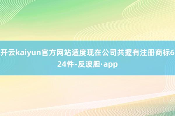 开云kaiyun官方网站适度现在公司共握有注册商标624件-