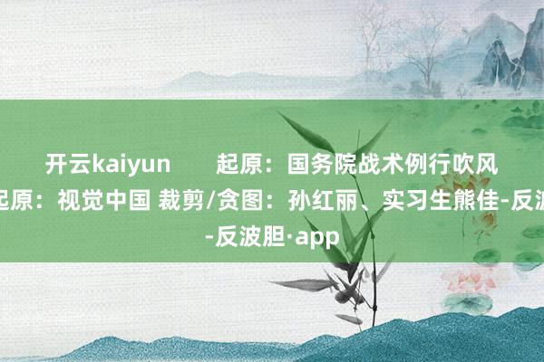 开云kaiyun       起原：国务院战术例行吹风会 图