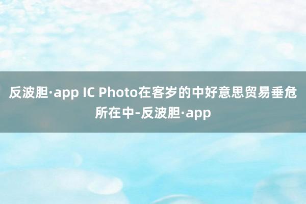 反波胆·app IC Photo在客岁的中好意思贸易垂危所在