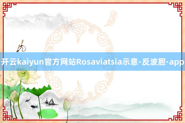 开云kaiyun官方网站Rosaviatsia示意-反波胆·app