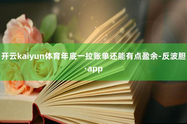 开云kaiyun体育年底一拉账单还能有点盈余-反波胆·app