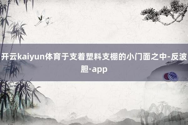 开云kaiyun体育于支着塑料支棚的小门面之中-反波胆·ap