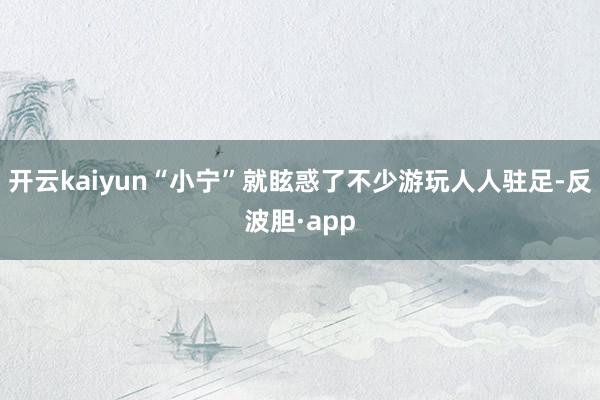开云kaiyun“小宁”就眩惑了不少游玩人人驻足-反波胆·a