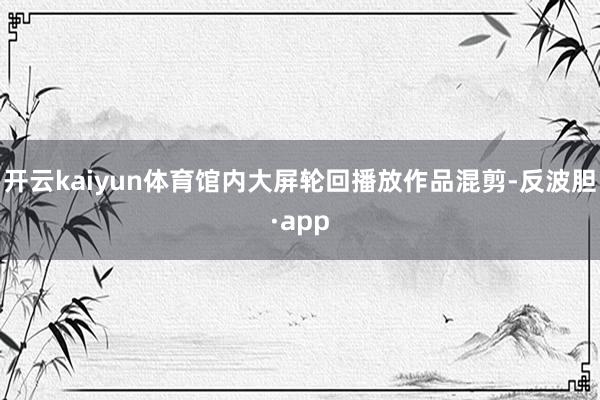 开云kaiyun体育馆内大屏轮回播放作品混剪-反波胆·app