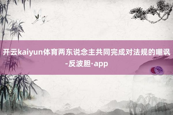 开云kaiyun体育两东说念主共同完成对法规的嘲讽-反波胆·