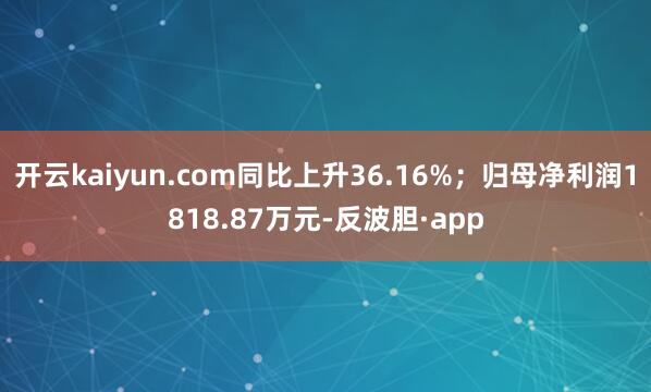 开云kaiyun.com同比上升36.16%；归母净利润18
